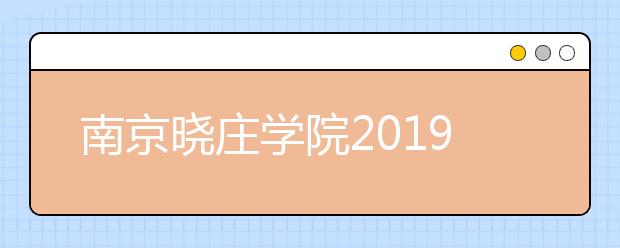 南京晓庄学院2019年艺术类本科招生计划
