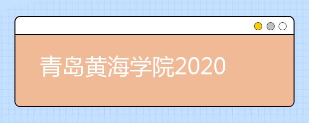 青岛黄海学院2020年艺术类和空乘类专业录取规则