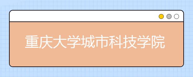 重庆大学城市科技学院2020年山东省艺术类录取规则