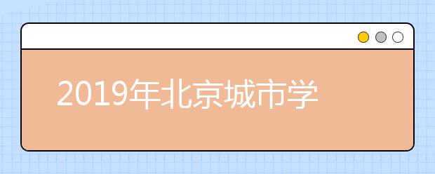 2019年北京城市学院艺术类本科专业录取分数线