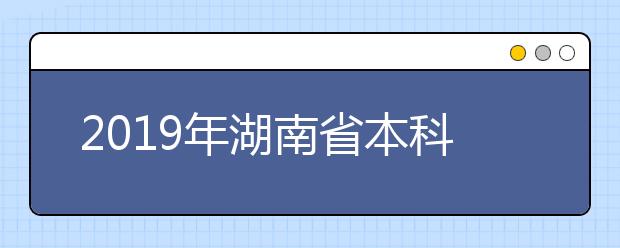 2019年湖南省本科二批艺术类平行组投档分数线