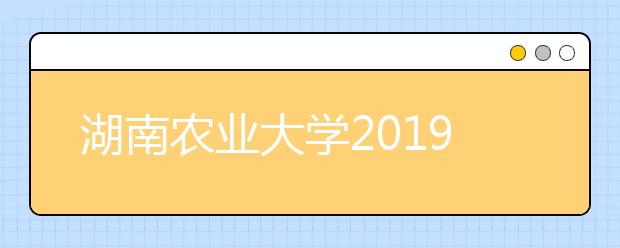 湖南农业大学2019年美术类本科专业录取分数线