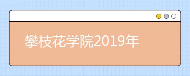 攀枝花学院2019年美术类专业录取分数线