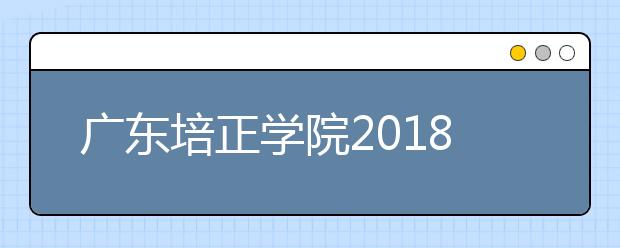 广东培正学院2018年广东省美术类本科专业录取线