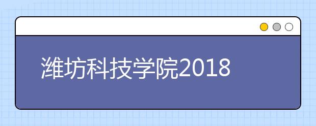 潍坊科技学院2018年美术类录取分数线