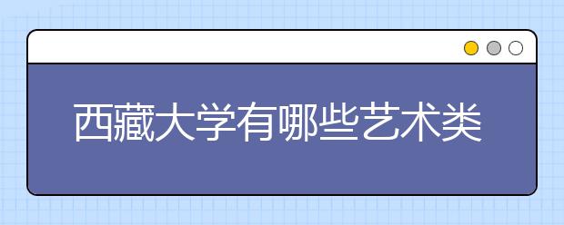 西藏大学有哪些艺术类专业，有博士学位授权点吗