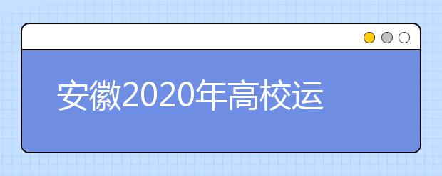 安徽2020年高校运动训练、武术与民族传统体育专业招生考试公告