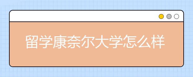 留学康奈尔大学怎么样？