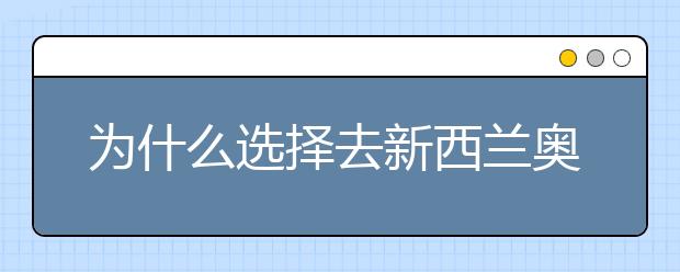 为什么选择去新西兰奥克兰理工大学读书？