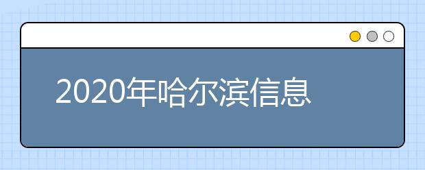 2020年哈尔滨信息工程学院艺术类本科招生专业目录