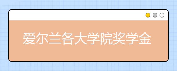 爱尔兰各大学院奖学金申请情况