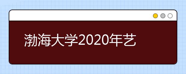 渤海大学2020年艺术类专业招生简章