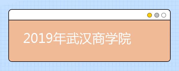 2019年武汉商学院美术类本科专业招生计划