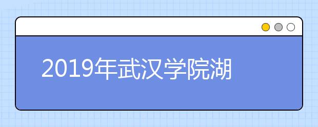 2019年武汉学院湖北省艺术类本科专业招生计划