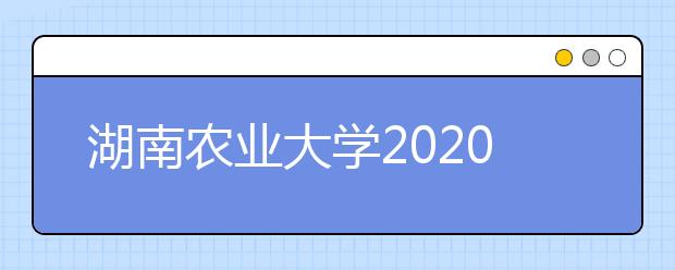 湖南农业大学2020年承认美术统考成绩