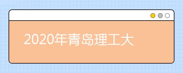 2020年<a target="_blank" href="/xuexiao2466/" title="青岛理工大学琴岛学院">青岛理工大学琴岛学院</a>美术类招生专业与范围
