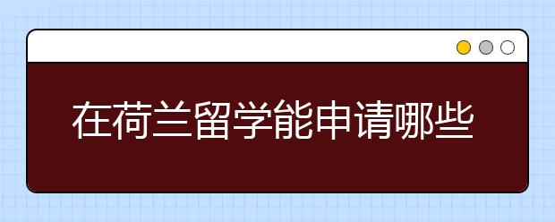 在荷兰留学能申请哪些奖学金