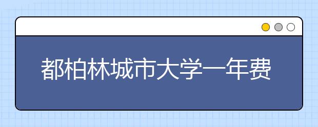 都柏林城市大学一年费用