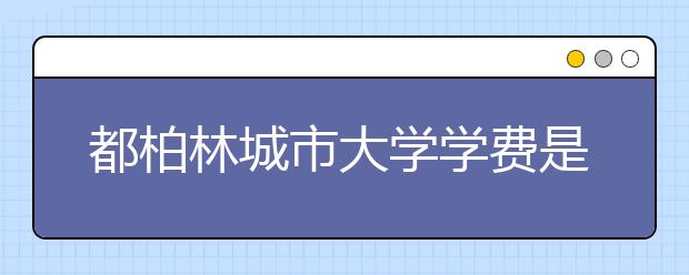 都柏林城市大学学费是多少