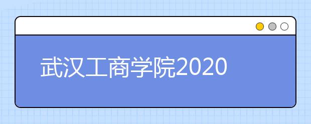 武汉工商学院2020年艺术类校考招生简章（调整版）