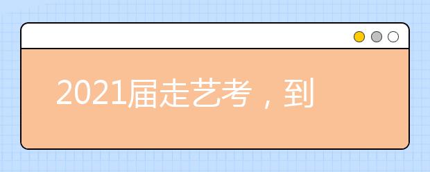 2021届走艺考，到底是“捷径”还是“大坑”？