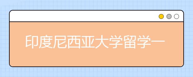 印度尼西亚大学留学一年学费