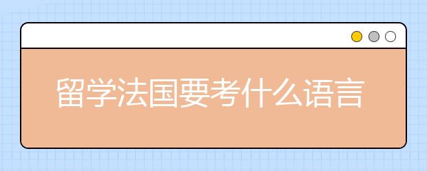 留学法国要考什么语言考试