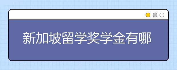 新加坡留学奖学金有哪些形式?