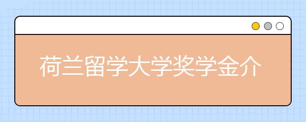 荷兰留学大学奖学金介绍以及申请条件