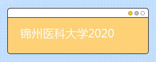 锦州医科大学2020年招生章程