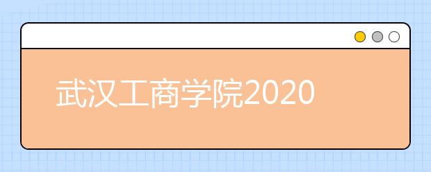 武汉工商学院2020年招生章程