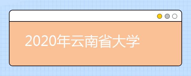 2020年云南省大学自然科学排行榜