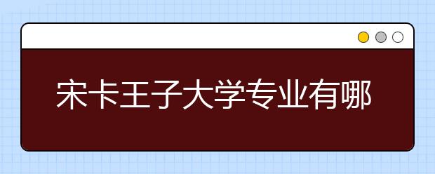 宋卡王子大学专业有哪些