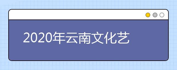 2020年云南文化艺术职业学院招生章程