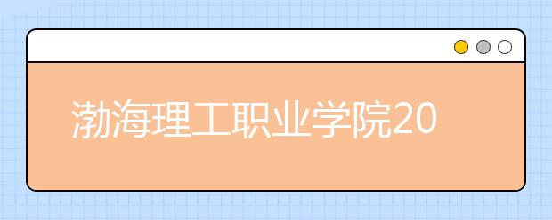 渤海理工职业学院2020年招生章程