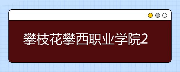 攀枝花攀西职业学院2020年招生章程