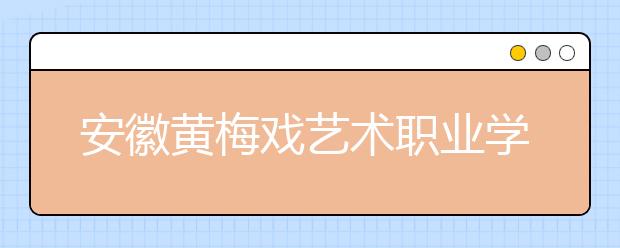 安徽黄梅戏艺术职业学院2020年安徽省高职分专业招生计划