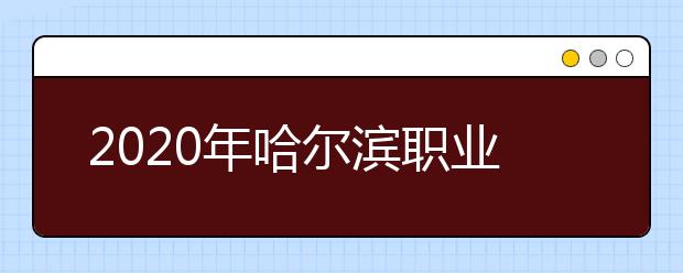 2020年哈尔滨职业技术学院单独招生计划