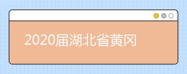 2020届湖北省黄冈市麻城市实验中学高三理综物理模拟试题