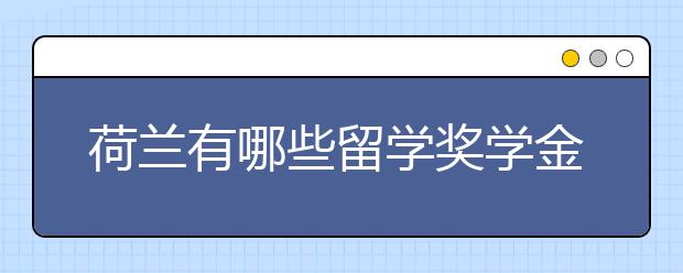荷兰有哪些留学奖学金?