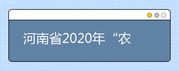 河南省2020年“农村学校”地方公费师范生艺术类招生总计划
