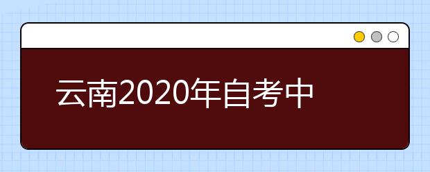 云南2020年自考中小企业经营管理（专升本）专业计划