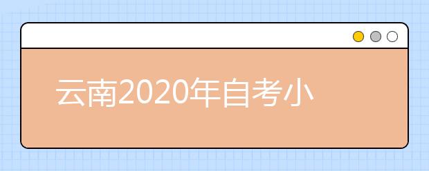 云南2020年自考小学教育（专科）专业计划