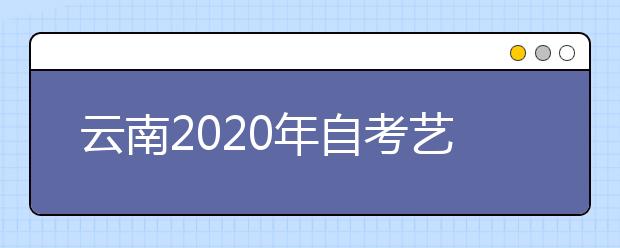 云南2020年自考艺术教育（专升本）专业计划