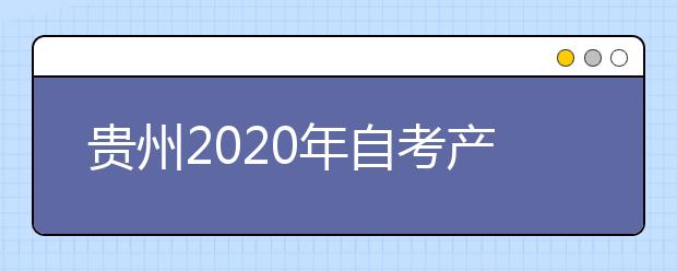 贵州2020年自考产品设计（视觉传达设计方向）（专升本）专业计划