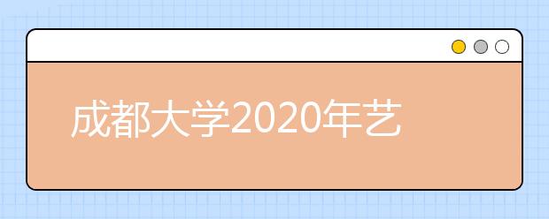 成都大学2020年艺术类专业招生计划