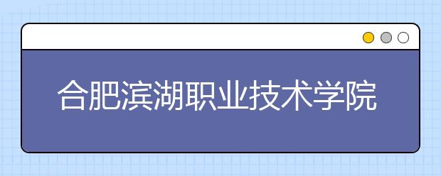 合肥滨湖职业技术学院2020年安徽省高职分专业招生计划