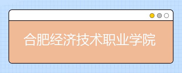 合肥经济技术职业学院2020年安徽省高职分专业招生计划