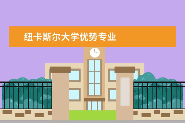 纽卡斯尔大学优势专业