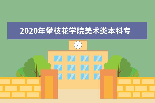 2020年攀枝花学院美术类本科专业录取分数线